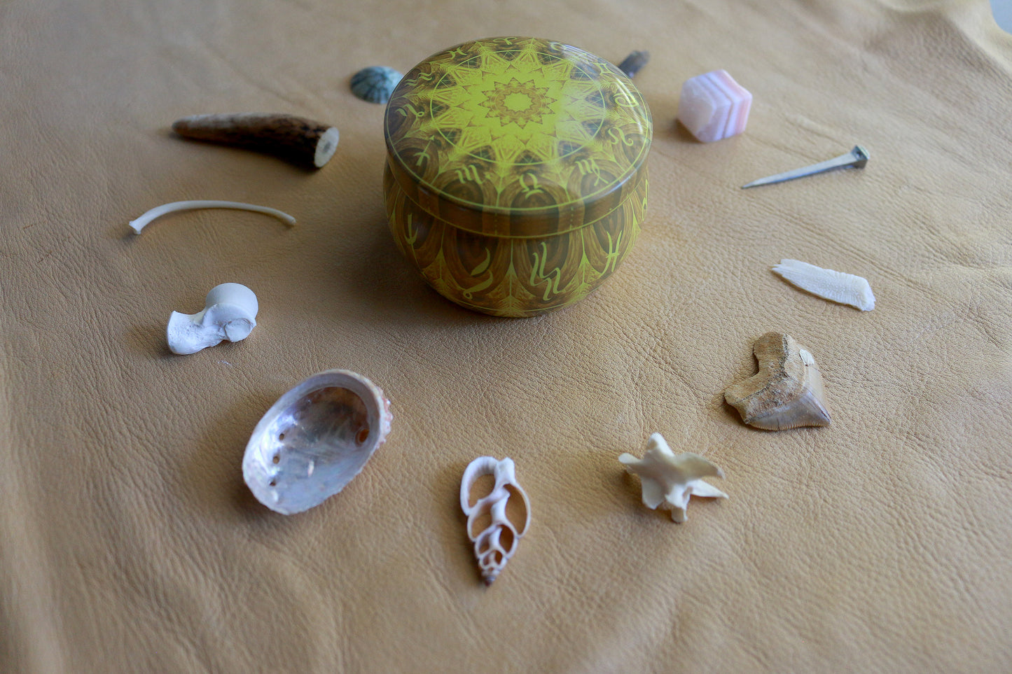 Land & Sea : Bone Throwing / Osteomancy Set