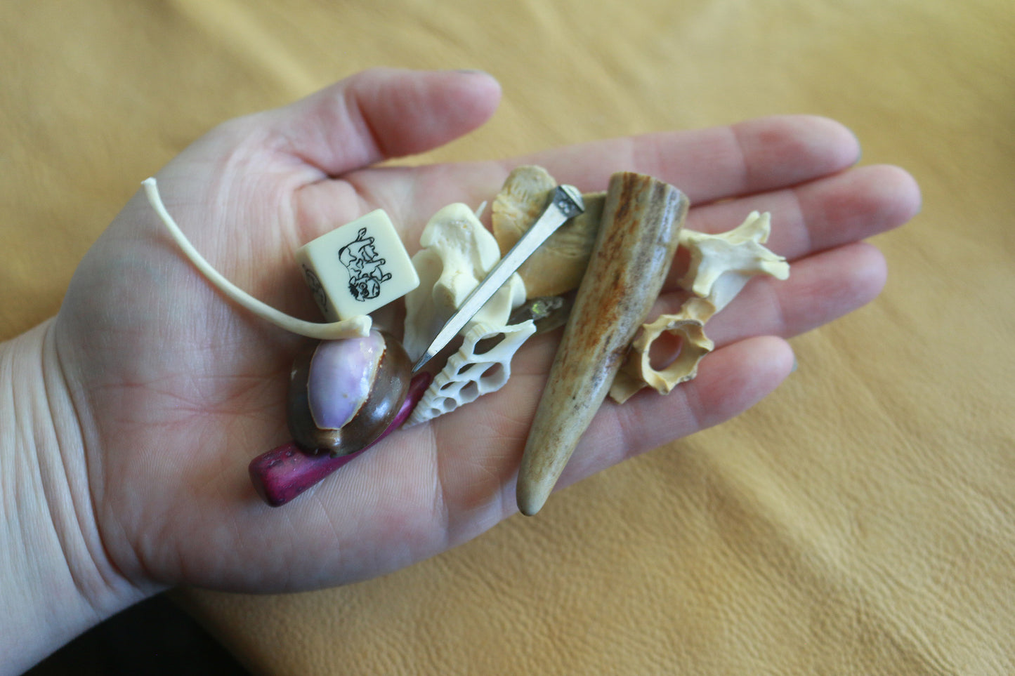 Found History : Bone Throwing / Osteomancy Set