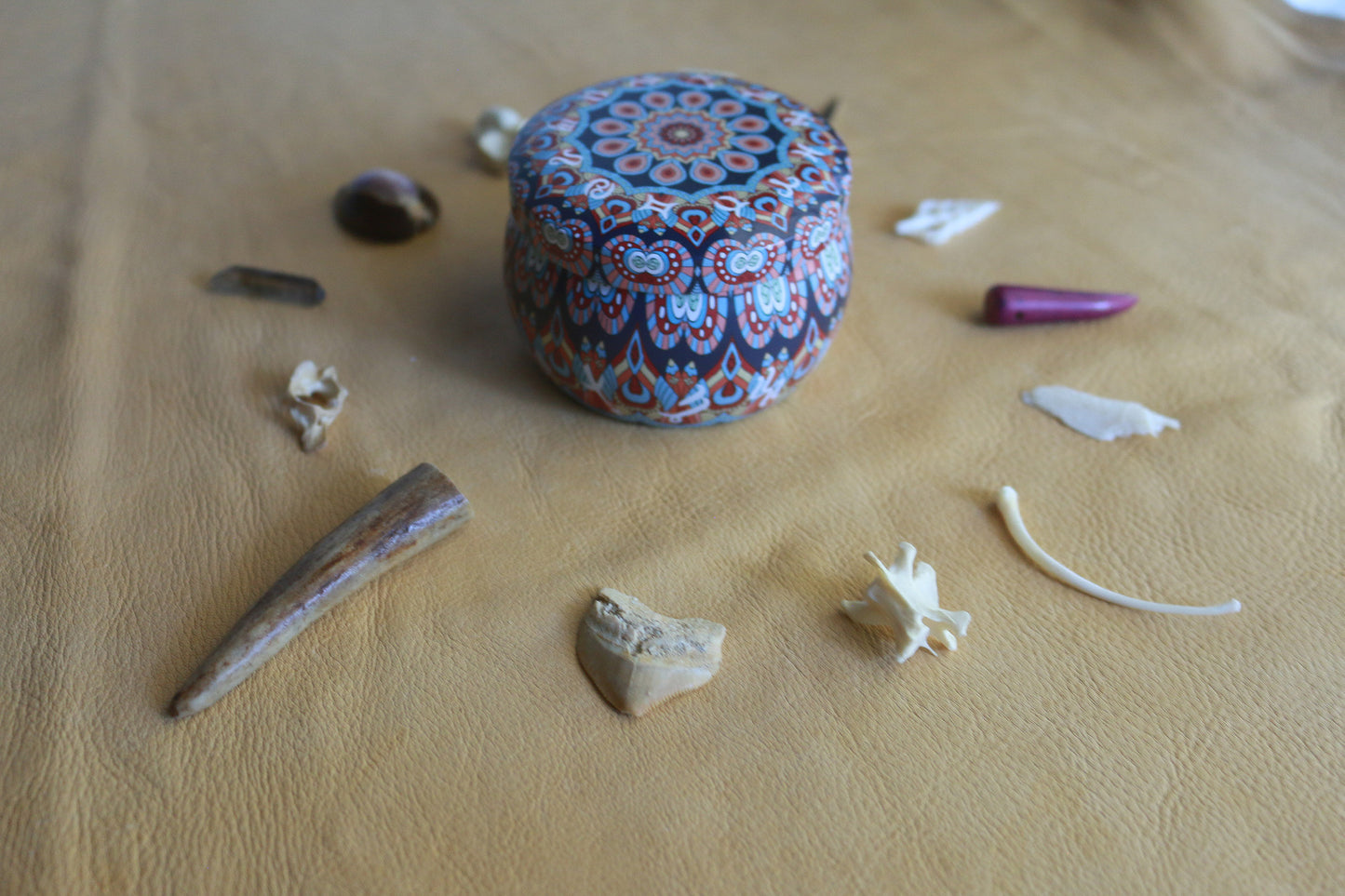 Found History : Bone Throwing / Osteomancy Set