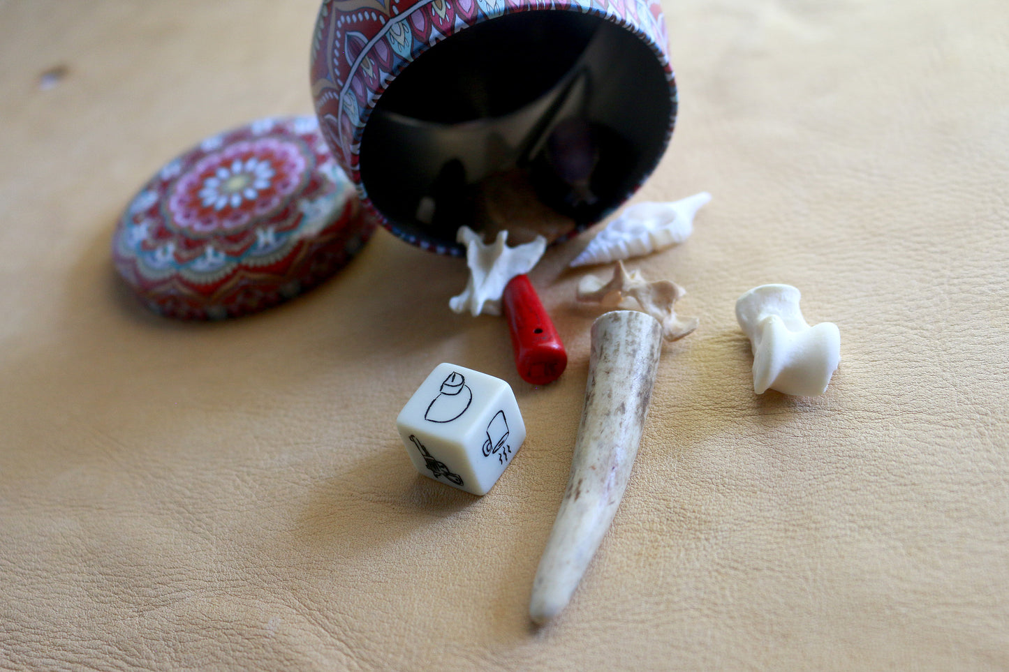 Found Lore : Bone Throwing / Osteomancy Set
