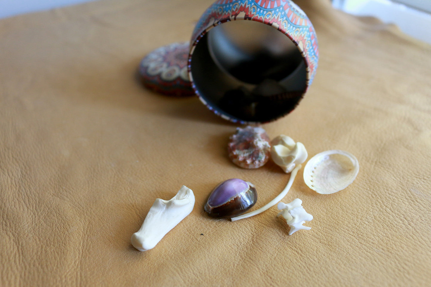 Natures Confetti : Bone Throwing / Osteomancy Set