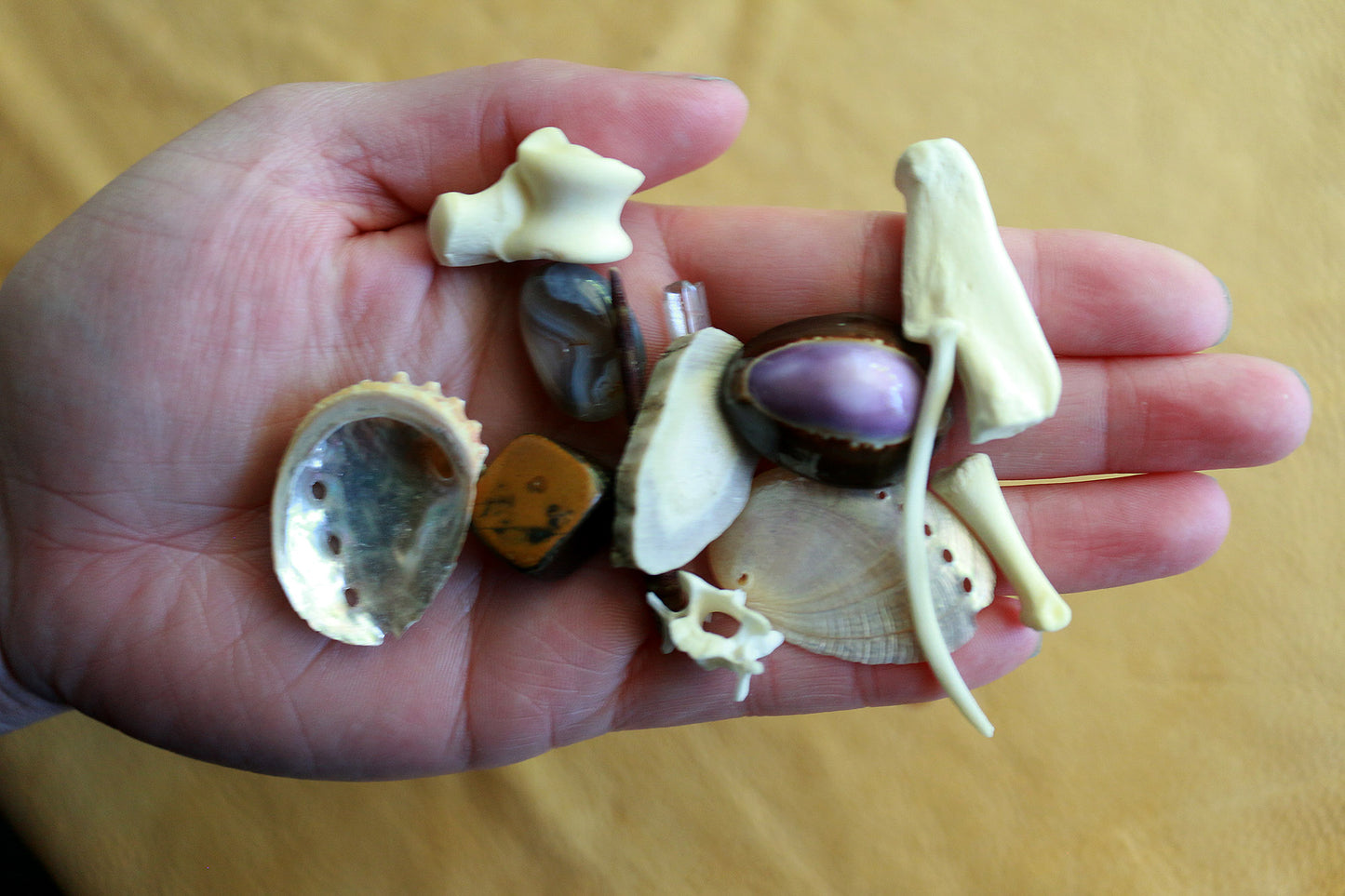 Natures Confetti : Bone Throwing / Osteomancy Set