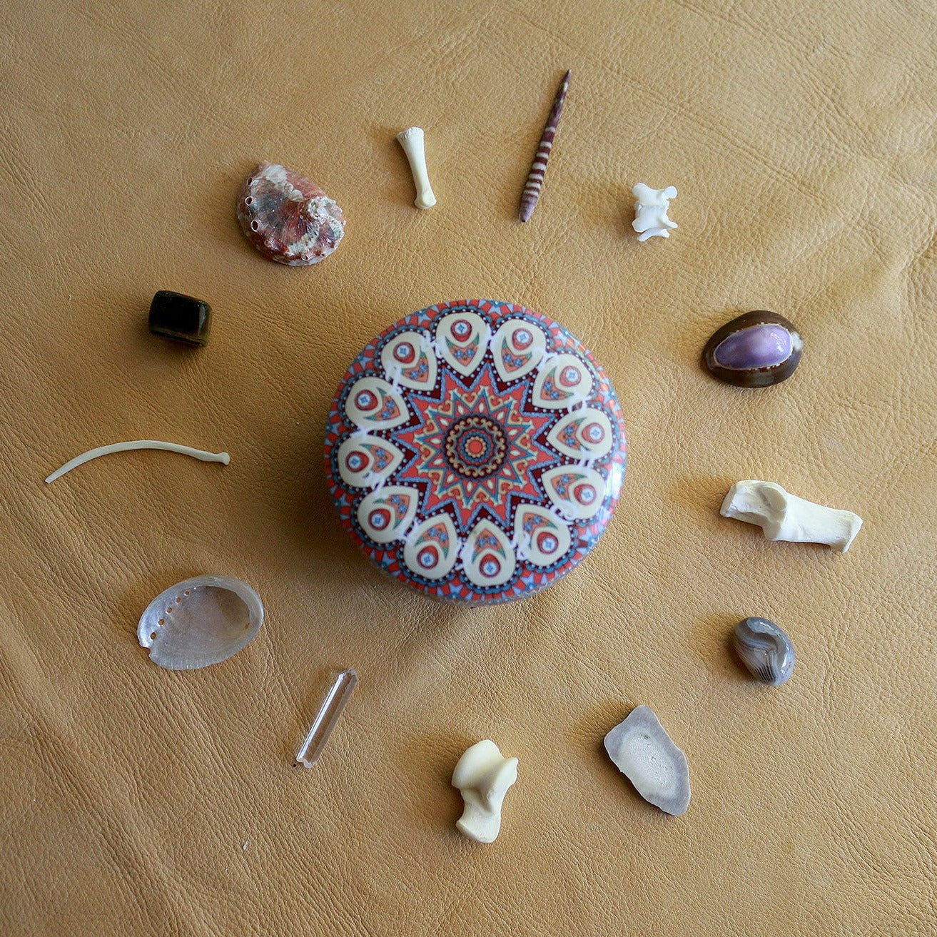 Natures Confetti : Bone Throwing / Osteomancy Set