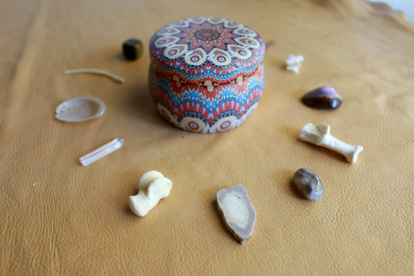 Natures Confetti : Bone Throwing / Osteomancy Set
