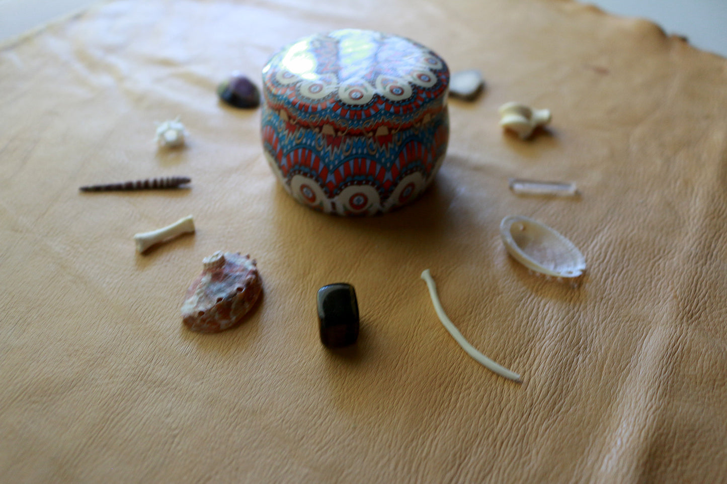 Natures Confetti : Bone Throwing / Osteomancy Set