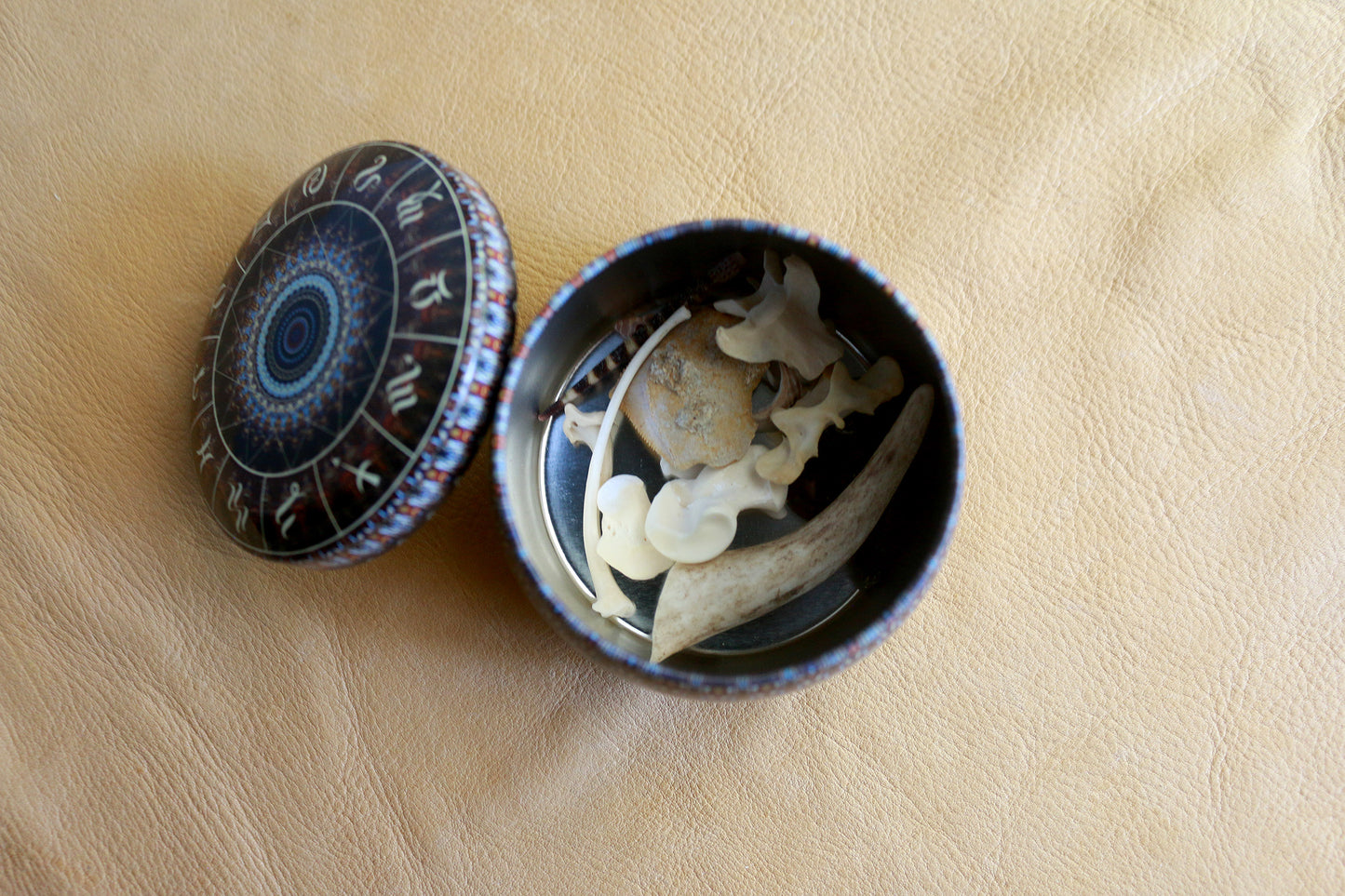 Animal Wisdom : Bone Throwing / Osteomancy Set