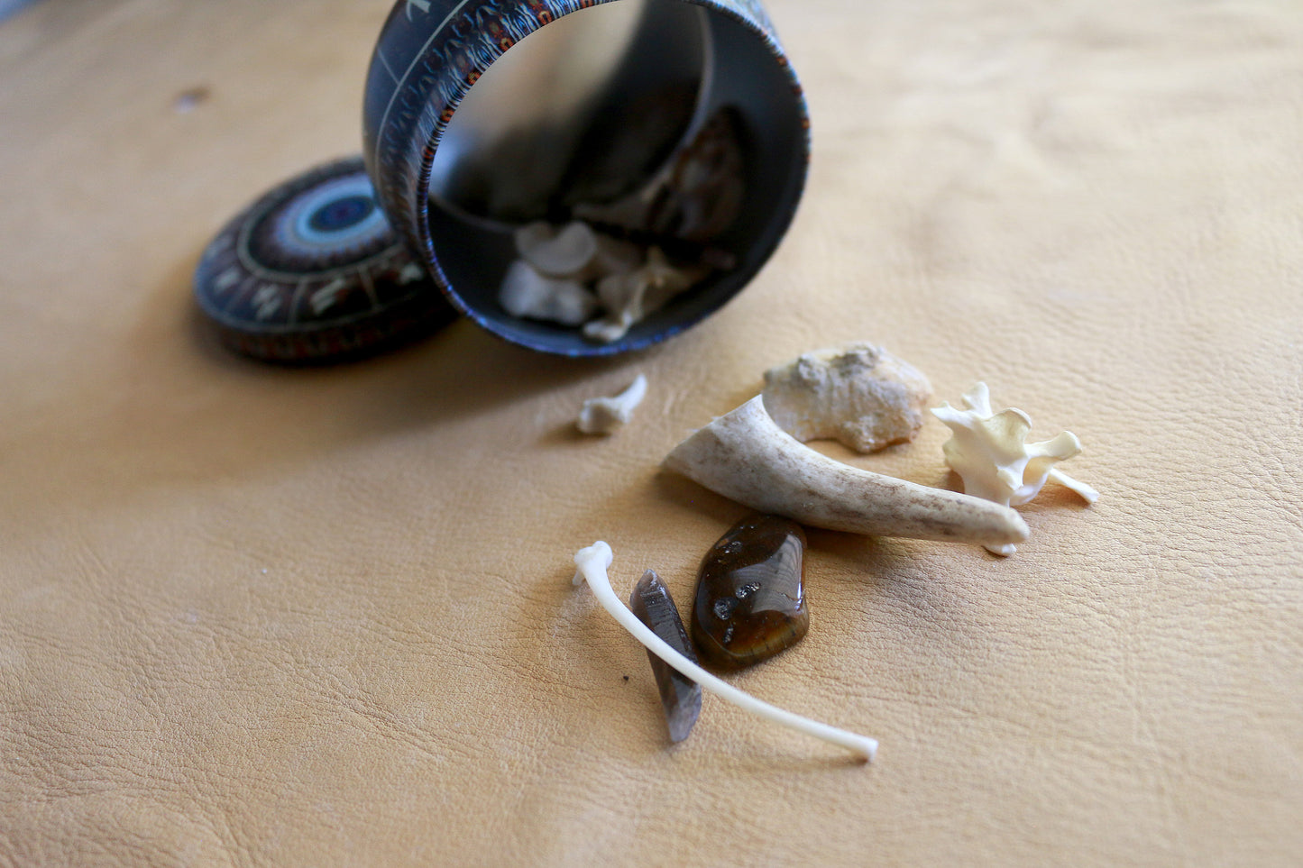 Animal Wisdom : Bone Throwing / Osteomancy Set