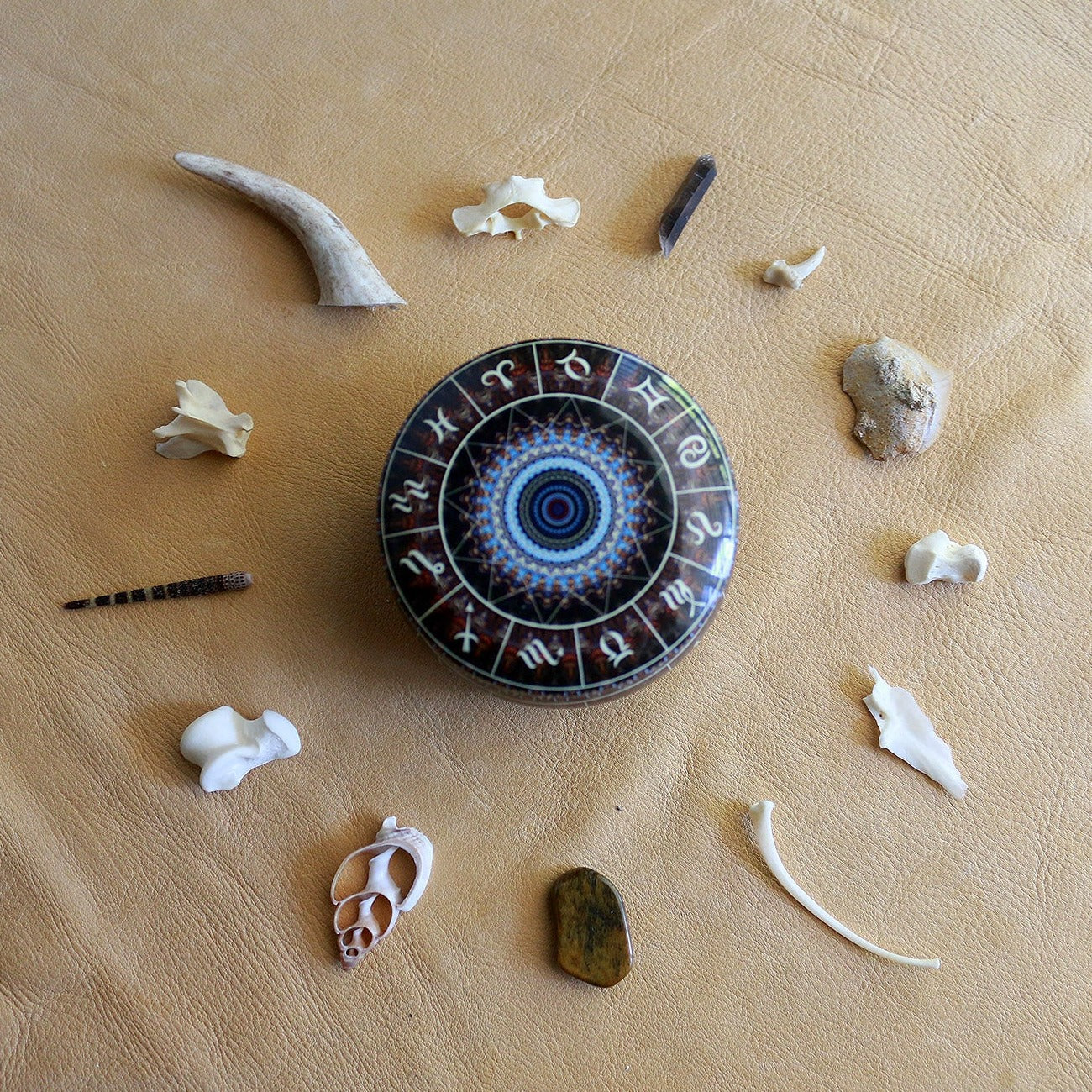 Animal Wisdom : Bone Throwing / Osteomancy Set