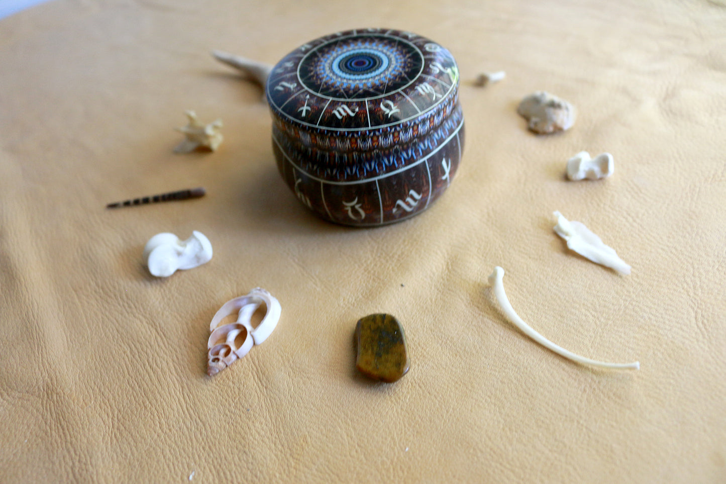 Animal Wisdom : Bone Throwing / Osteomancy Set