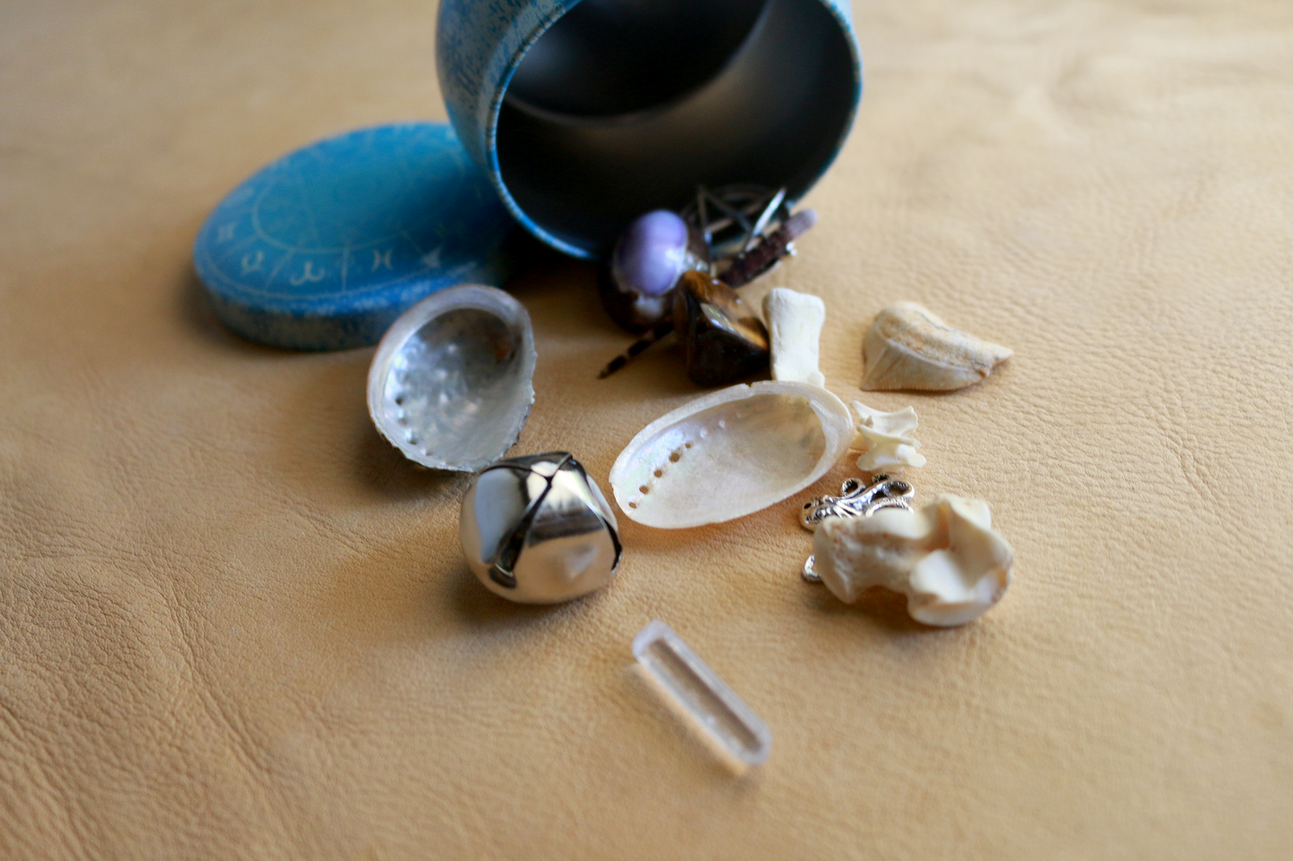 Mystical Depths : Bone Throwing / Osteomancy Set
