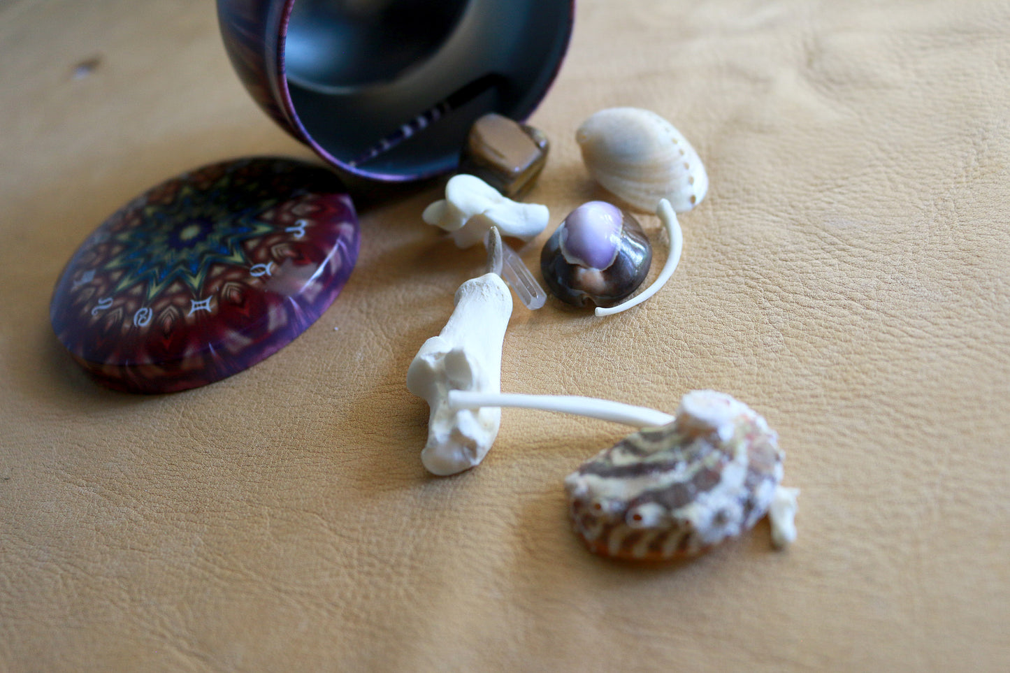 Mystical Species : Bone Throwing / Osteomancy Set