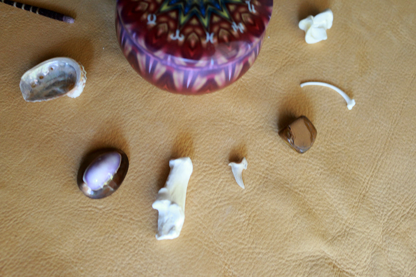 Mystical Species : Bone Throwing / Osteomancy Set