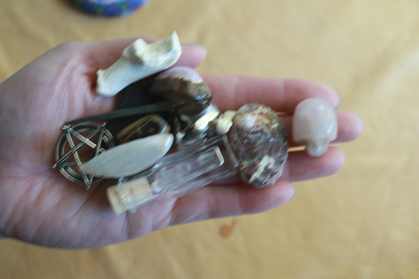 Witches Magic : Bone Throwing / Osteomancy Set