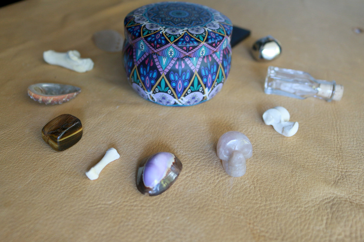 Witches Magic : Bone Throwing / Osteomancy Set