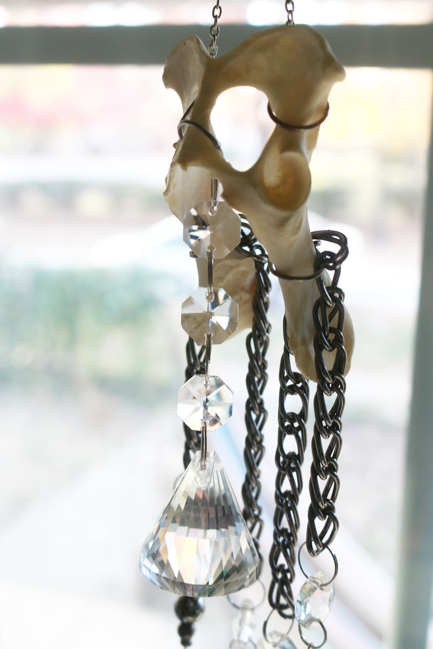 Forest Thorns Fox Pelvis Suncatcher/Windchime