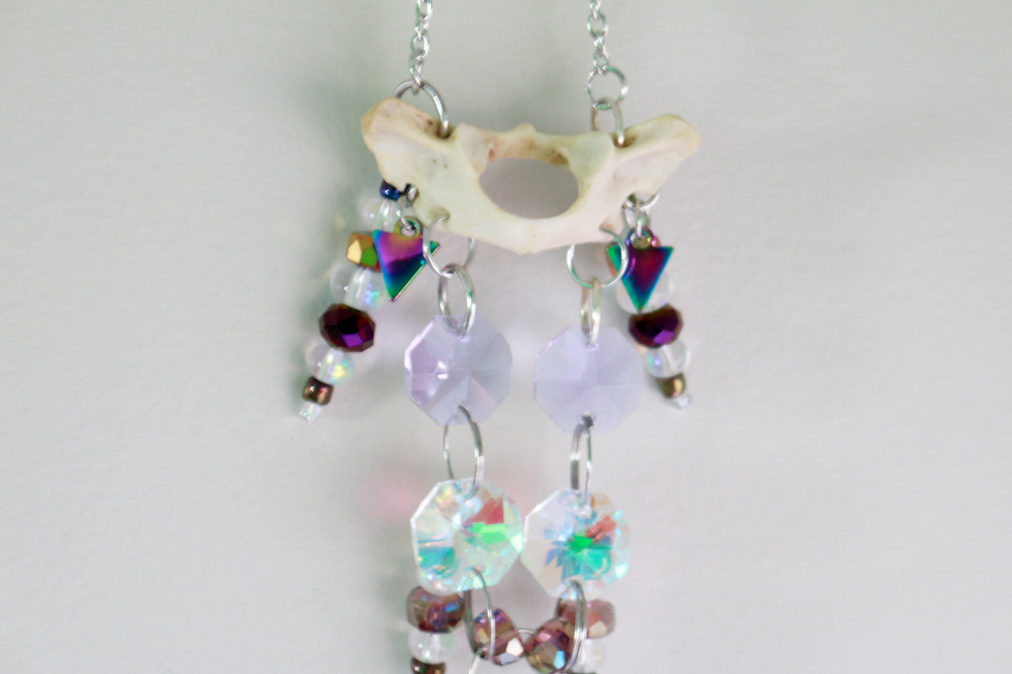 Celestial Trash Panda Raccoon Atlas Suncatcher