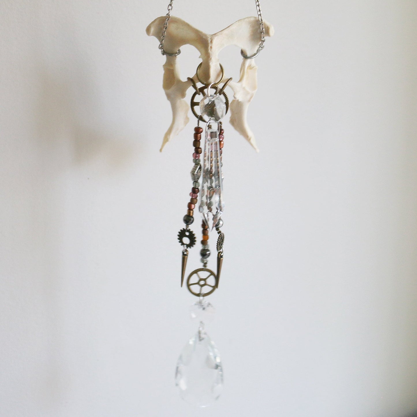 Steampowered Fox Pelvis Suncatcher/Windchime