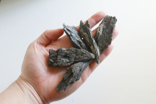 Raw Black Kyanite (2.5 in)