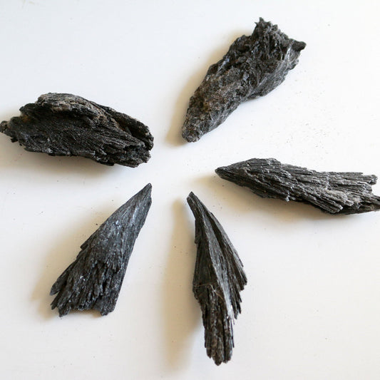 Raw Black Kyanite (2.5 in)