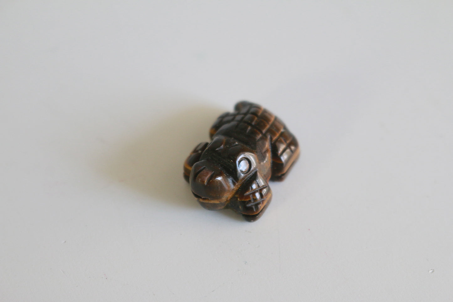 Tigers Eye Crocodile (1 in)