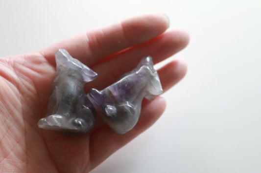 Amethyst Coyote (1.5 in)