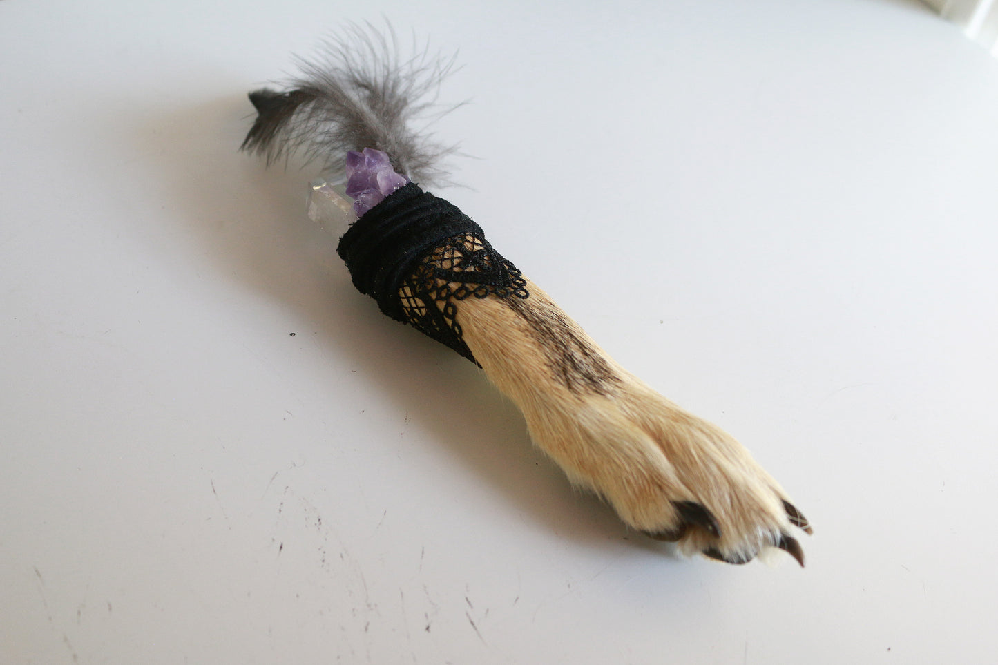 Elegant Crystal Coyote Paw
