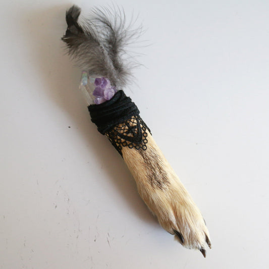 Elegant Crystal Coyote Paw