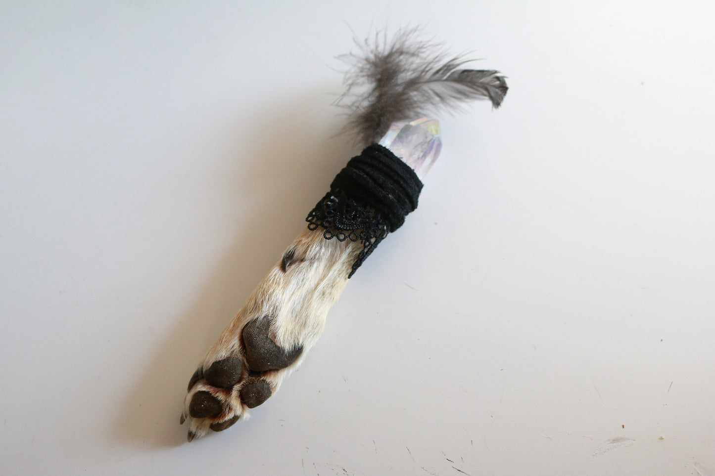 Elegant Crystal Coyote Paw