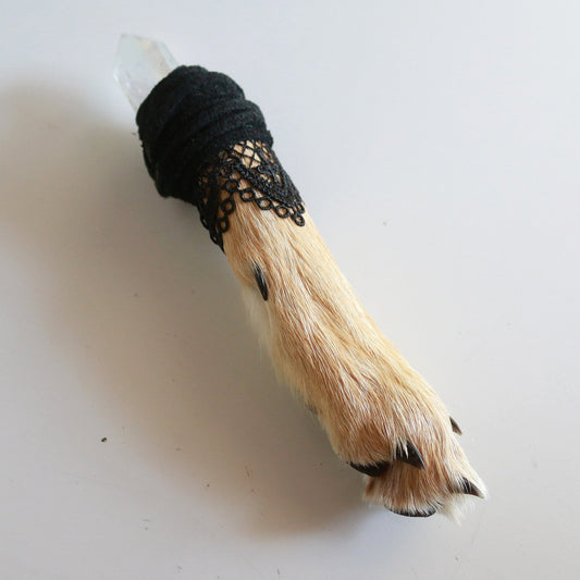 Crystal Coyote Paw