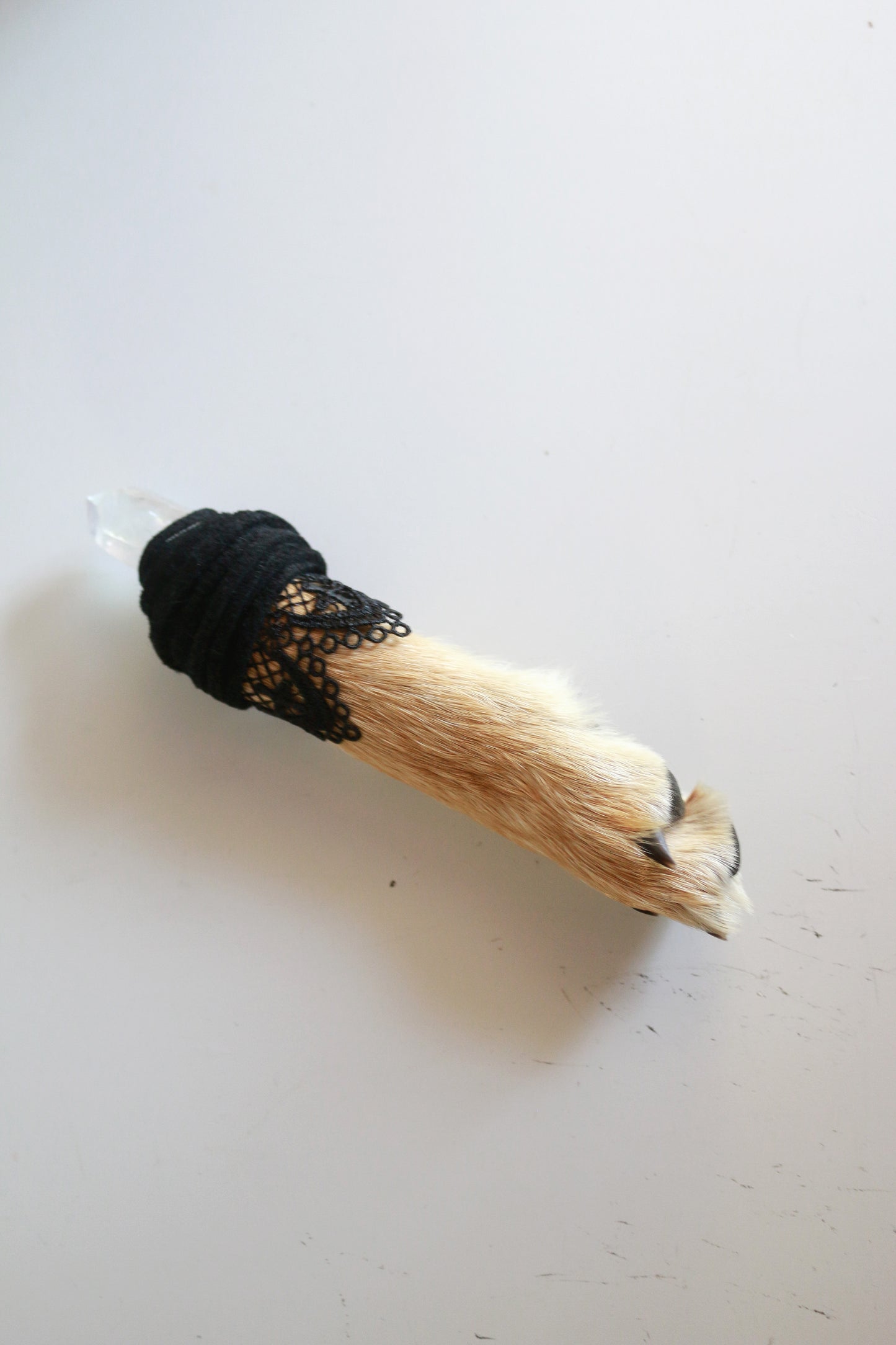 Crystal Coyote Paw