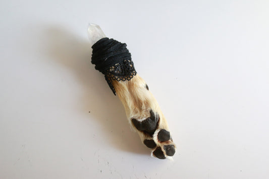Crystal Coyote Paw