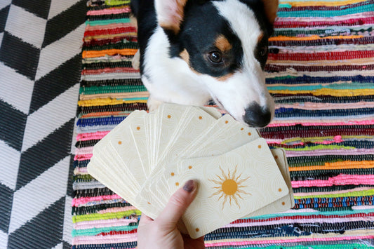 Corgi Tarot Readings
