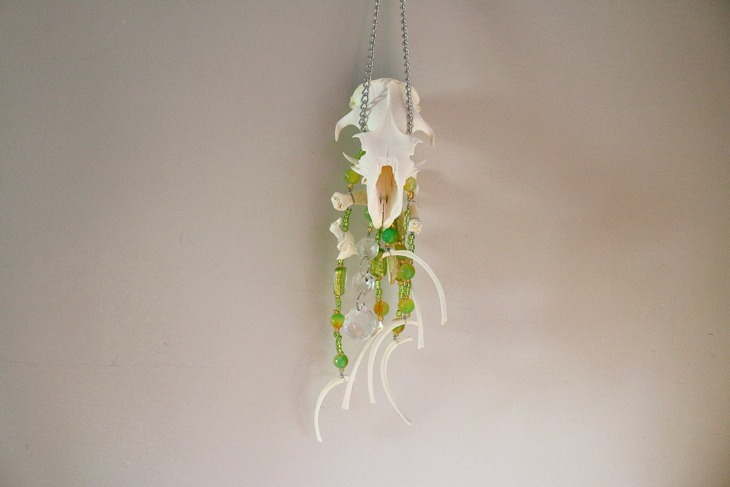 Groundhog Grounds Suncatcher