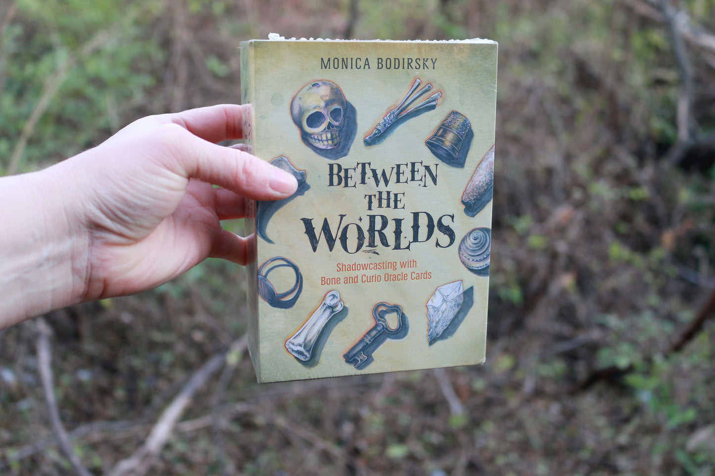 Between the Worlds: Shadowcasting with Bone and Curio Oracle Cards