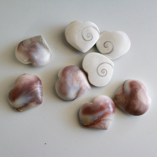 Mermaid Coin / Heart Shell