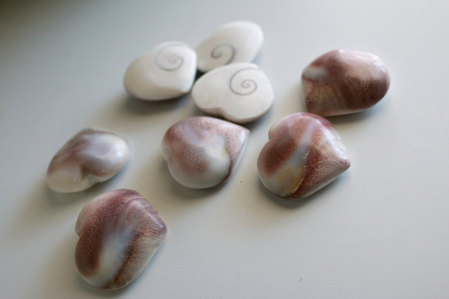 Mermaid Coin / Heart Shell