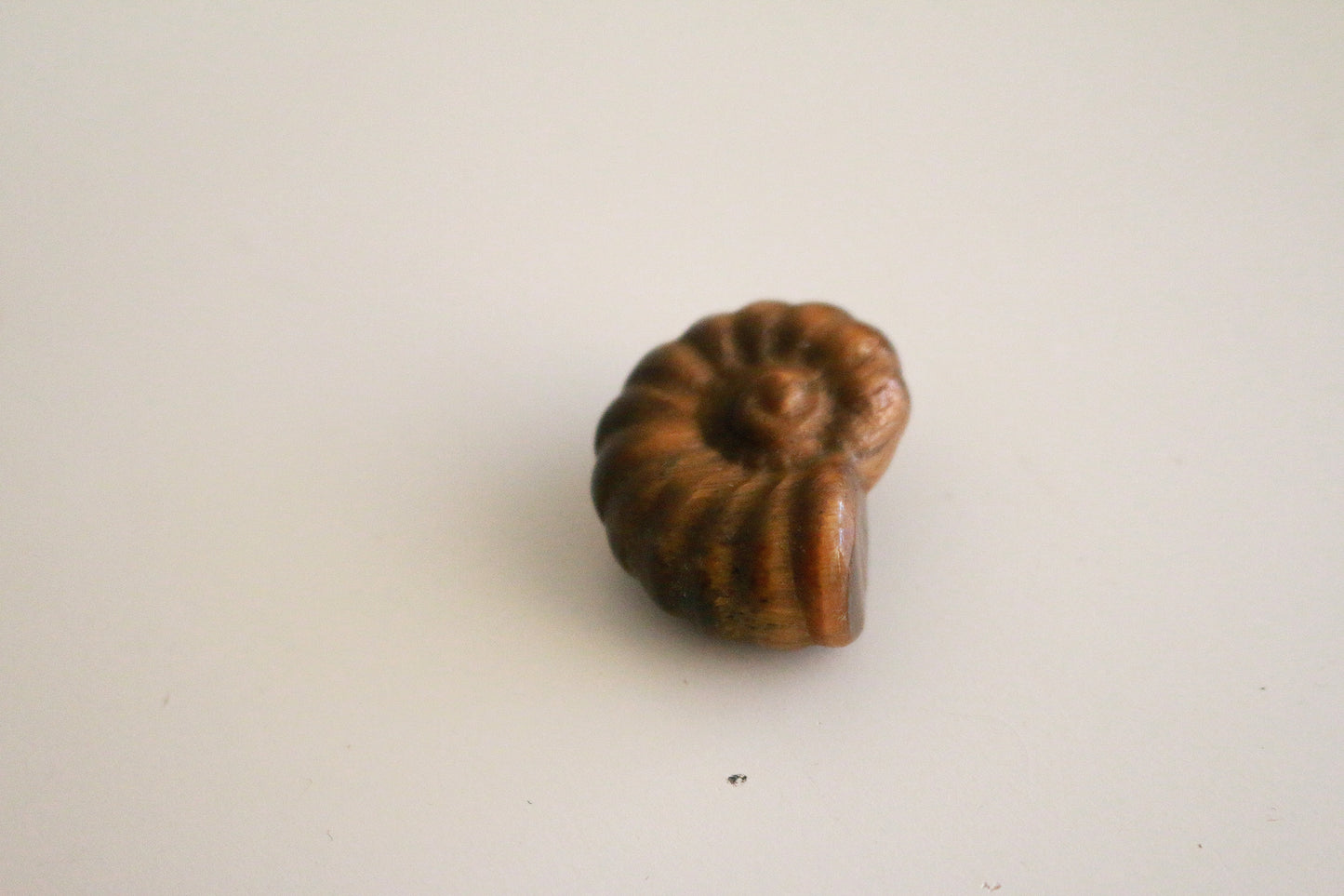 Tigers Eye Ammonite (1.5 in)