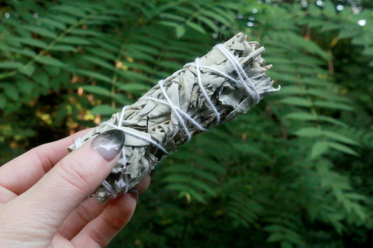 White Sage Smudge Stick
