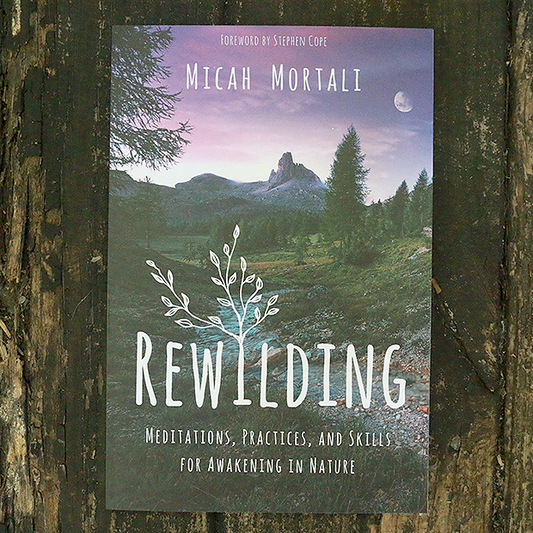 Rewilding: Meditations, Practices, and Skills for Awakening in Nature