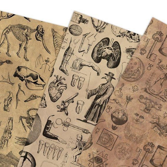 Vintage Wrapping Paper [3 Styles] Flat Pack - Animal Bones, Vintage Medical, Alchemy