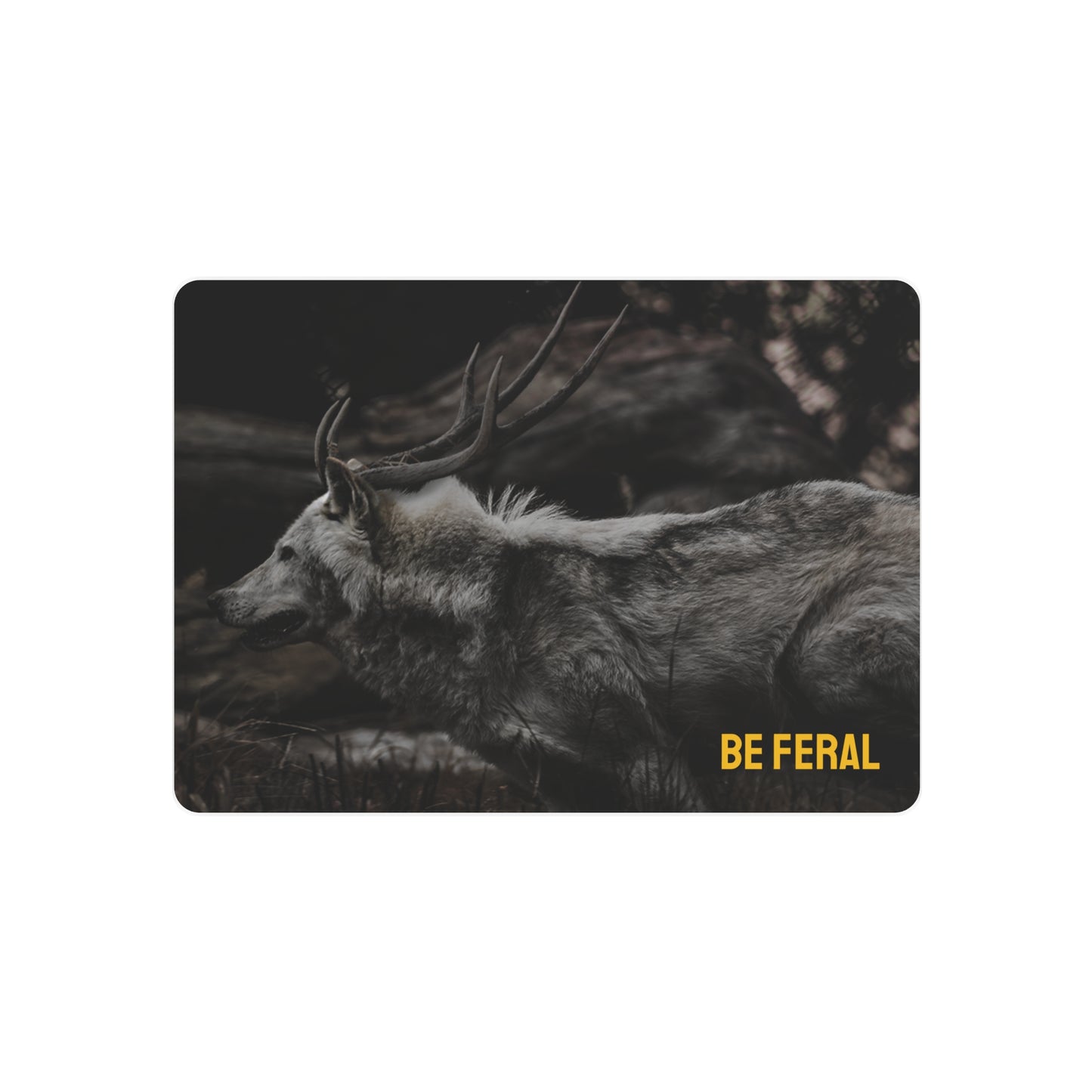 "Be Feral" Metal Art Sign