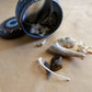 Animal Wisdom : Bone Throwing / Osteomancy Set