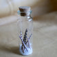 Urchin Ocean - Curiosities & Specimen Jar