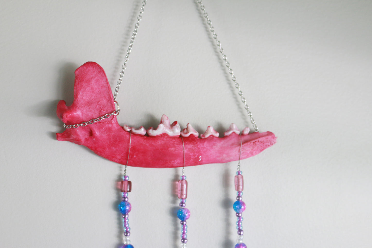 Pretty in Pink Dyed Coyote Jaw Suncatcher