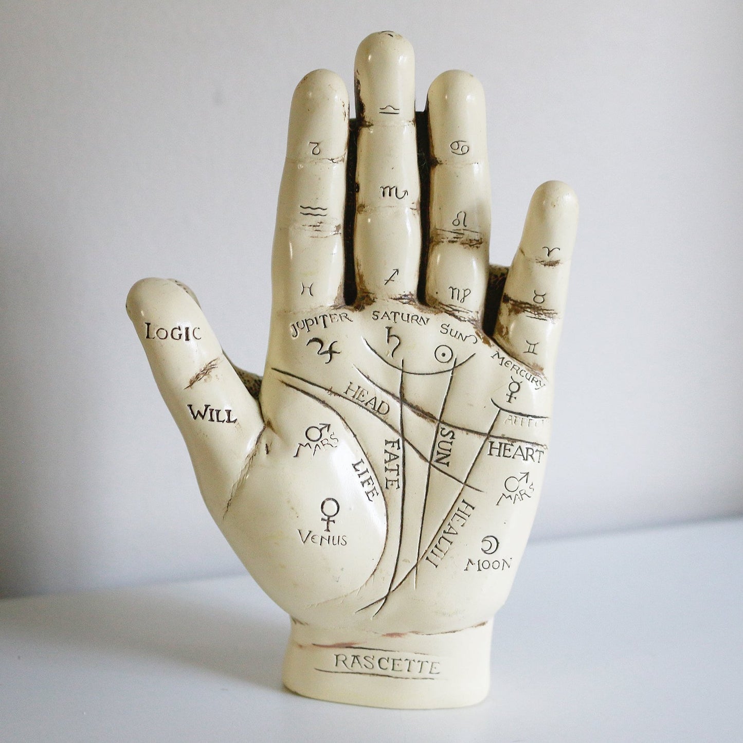 Secondhand Palmistry Hand & Book