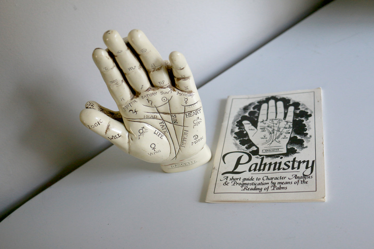 Secondhand Palmistry Hand & Book