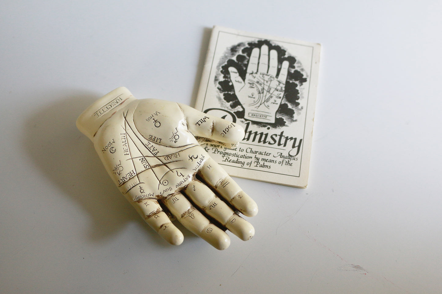 Secondhand Palmistry Hand & Book