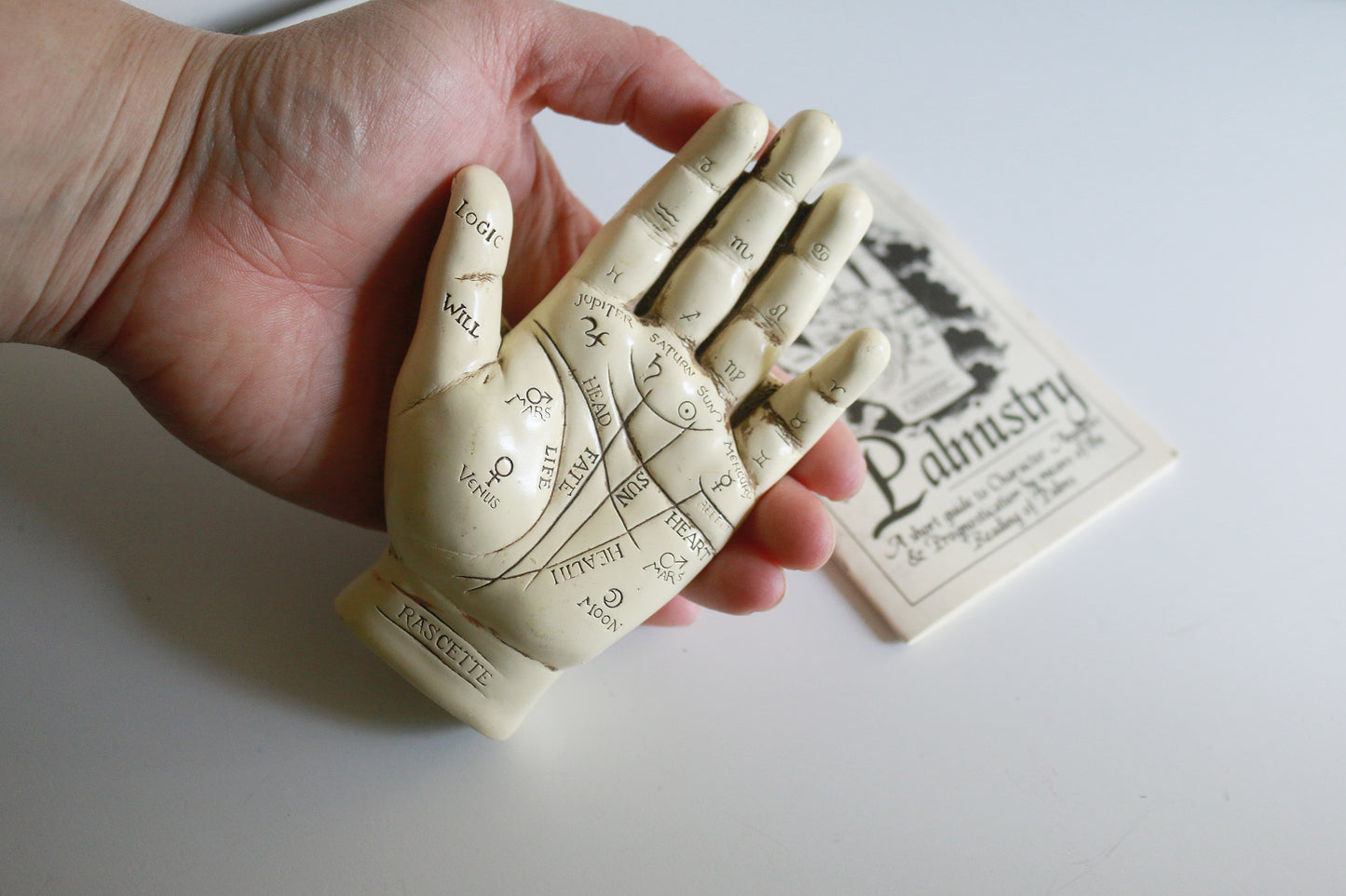 Secondhand Palmistry Hand & Book