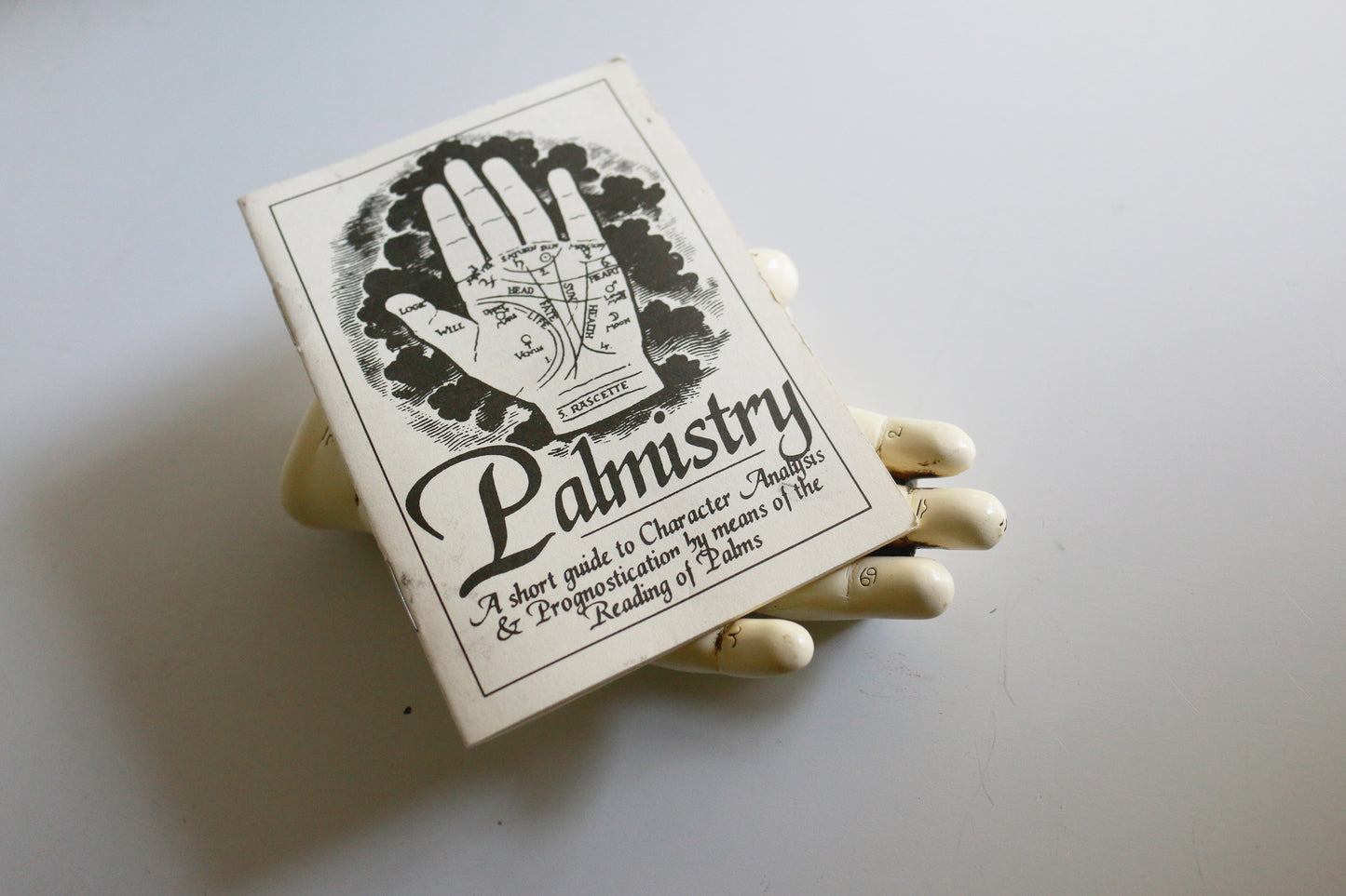 Secondhand Palmistry Hand & Book