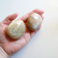 Peach Moonstone Palm Stone (2 in)